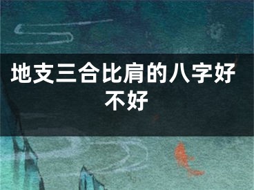 地支三合比肩的八字好不好