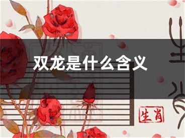 双龙是什么含义