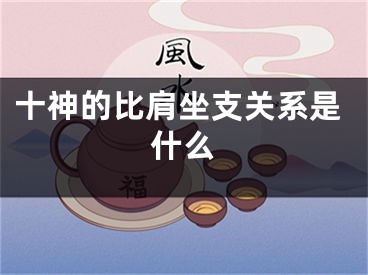十神的比肩坐支关系是什么