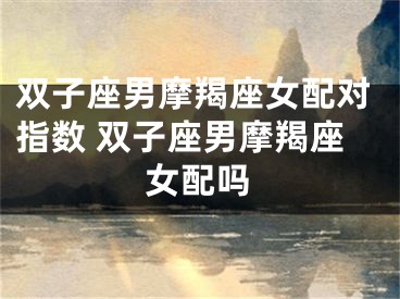 双子座男摩羯座女配对指数 双子座男摩羯座女配吗