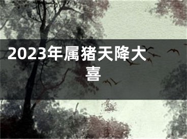 2023年属猪天降大喜