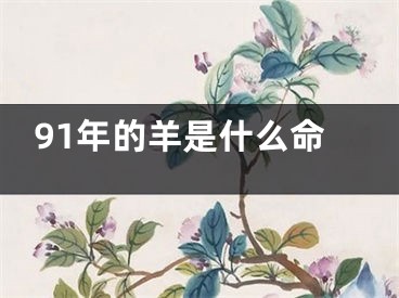 91年的羊是什么命