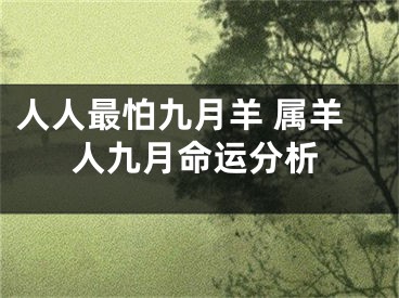 人人最怕九月羊 属羊人九月命运分析