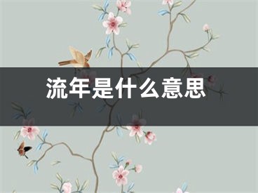 流年是什么意思