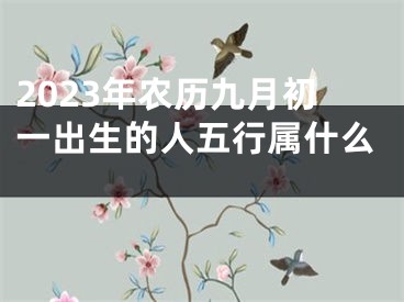 2023年农历九月初一出生的人五行属什么 