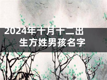 2024年十月十二出生方姓男孩名字