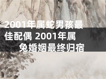 2001年属蛇男孩最佳配偶 2001年属兔婚姻最终归宿