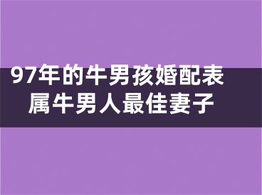 97年的牛男孩婚配表 属牛男人最佳妻子