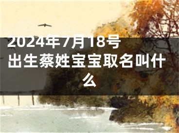2024年7月18号出生蔡姓宝宝取名叫什么
