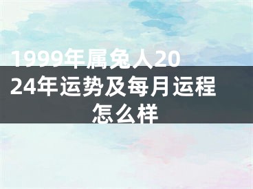 1999年属兔人2024年运势及每月运程怎么样