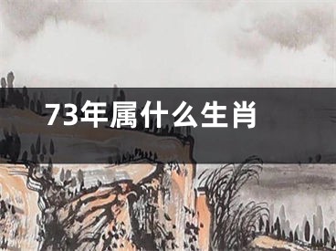 73年属什么生肖