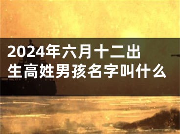 2024年六月十二出生高姓男孩名字叫什么