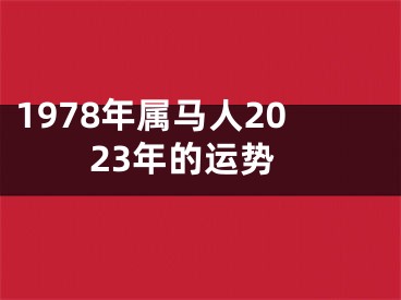 1978年属马人2023年的运势