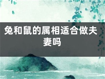 兔和鼠的属相适合做夫妻吗