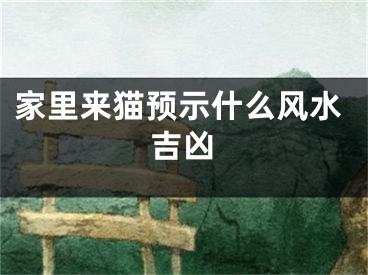 家里来猫预示什么风水吉凶