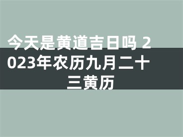 今天是黄道吉日吗 2023年农历九月二十三黄历