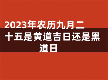 2023年农历九月二十五是黄道吉日还是黑道日 