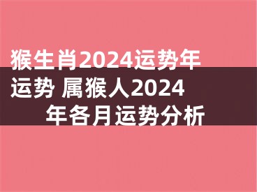 猴生肖2024运势年运势 属猴人2024年各月运势分析