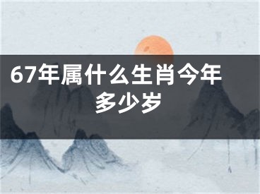 67年属什么生肖今年多少岁