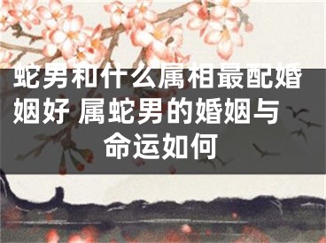 蛇男和什么属相最配婚姻好 属蛇男的婚姻与命运如何