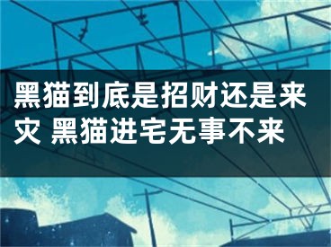 黑猫到底是招财还是来灾 黑猫进宅无事不来