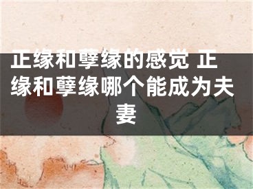 正缘和孽缘的感觉 正缘和孽缘哪个能成为夫妻