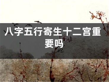 八字五行寄生十二宫重要吗