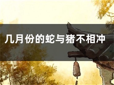 几月份的蛇与猪不相冲