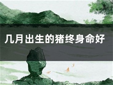 几月出生的猪终身命好