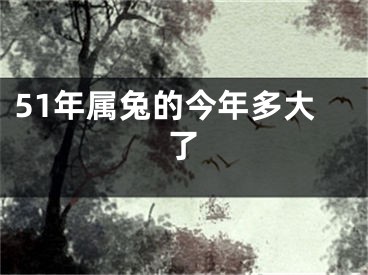 51年属兔的今年多大了