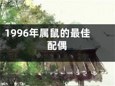 1996年属鼠的最佳配偶