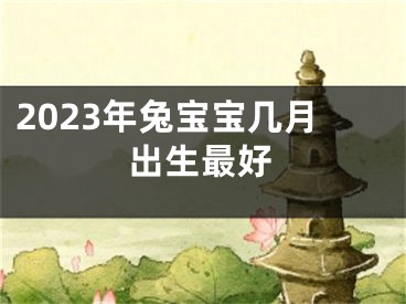 2023年兔宝宝几月出生最好