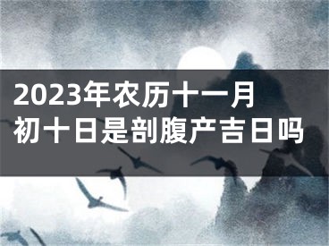 2023年农历十一月初十日是剖腹产吉日吗