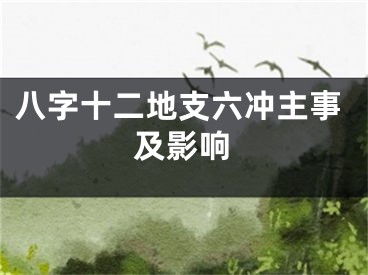 八字十二地支六冲主事及影响