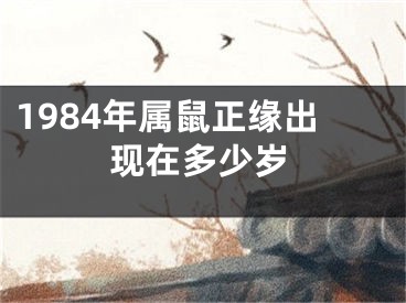 1984年属鼠正缘出现在多少岁