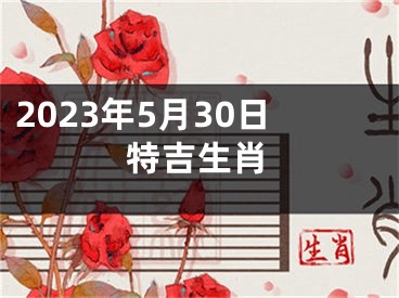2023年5月30日特吉生肖