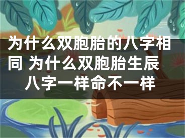 为什么双胞胎的八字相同 为什么双胞胎生辰八字一样命不一样