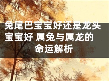 兔尾巴宝宝好还是龙头宝宝好 属兔与属龙的命运解析