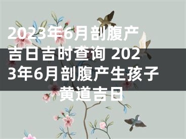 2023年6月剖腹产吉日吉时查询 2023年6月剖腹产生孩子黄道吉日