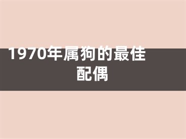 1970年属狗的最佳配偶