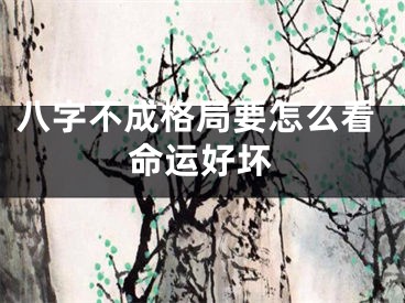 八字不成格局要怎么看命运好坏