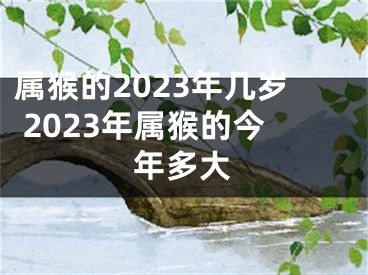 属猴的2023年几岁 2023年属猴的今年多大