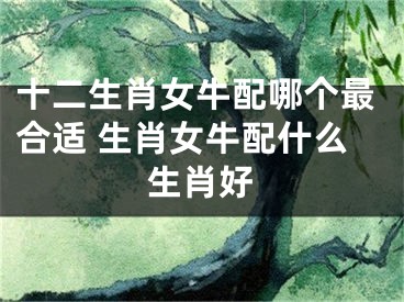 十二生肖女牛配哪个最合适 生肖女牛配什么生肖好