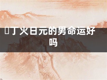 ​丁火日元的男命运好吗