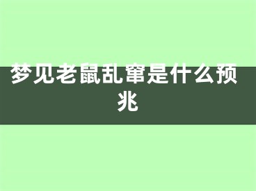 梦见老鼠乱窜是什么预兆