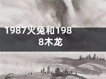 1987火兔和1988木龙