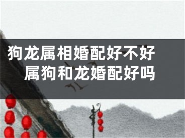 狗龙属相婚配好不好 属狗和龙婚配好吗