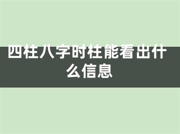 四柱八字时柱能看出什么信息
