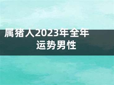 属猪人2023年全年运势男性
