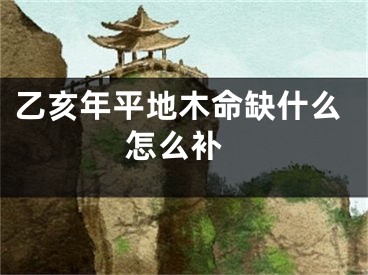 乙亥年平地木命缺什么 怎么补